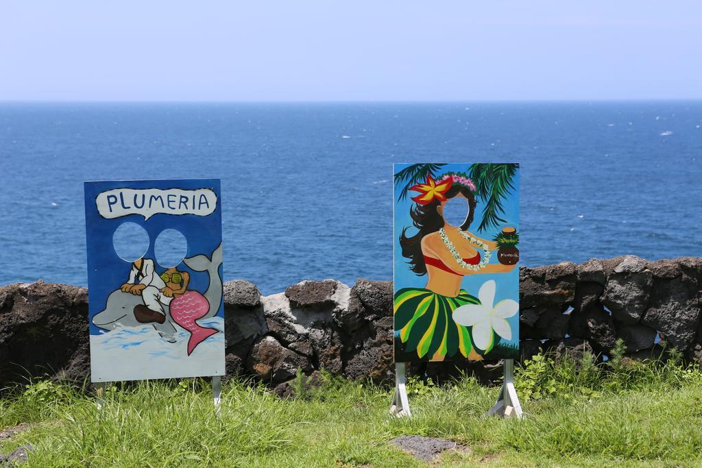 Plumeria Pension Csedzsu Kültér fotó
